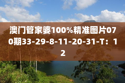 澳門(mén)管家婆100%精準(zhǔn)圖片070期33-29-8-11-20-31-T：12