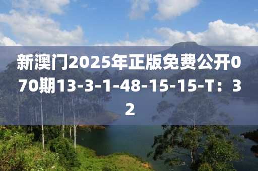 新澳門2025年正版免費公開070期13-3-1-48-15-15-T：32