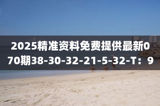 2025精準(zhǔn)資料免費(fèi)提供最新070期38-30-32-21-5液壓動(dòng)力機(jī)械,元件制造-32-T：9