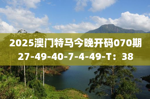 2025澳門特馬今晚開碼070期27-49-40-7-4-49-T：38