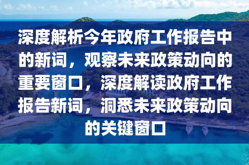 深度解析今年政府工作報告中的新詞，觀察未來政策動向的重要窗口，深度解讀政府工作報告新詞，洞悉未來政策動向的關鍵窗口