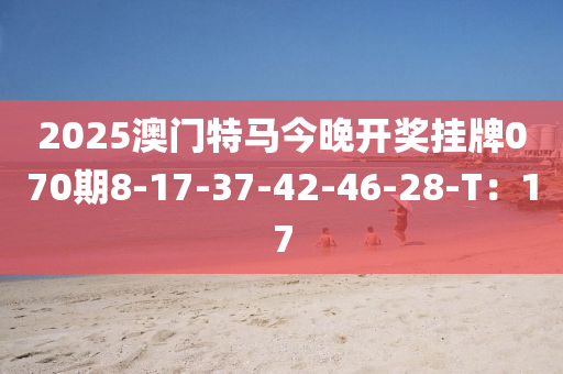 2025澳門特馬今晚開獎掛牌070期8-17-37-42-46-28-T：17