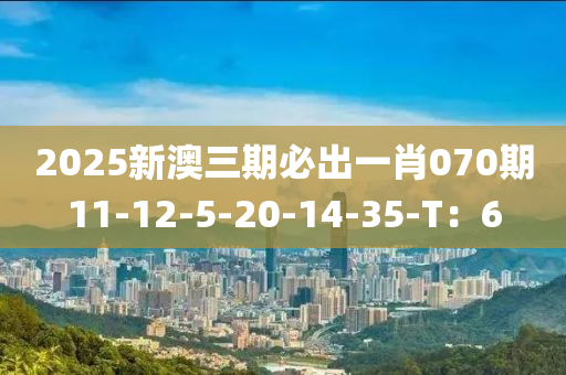 2025新澳三期必出一肖070期11-12-5-20-14-35-T：6液壓動力機(jī)械,元件制造