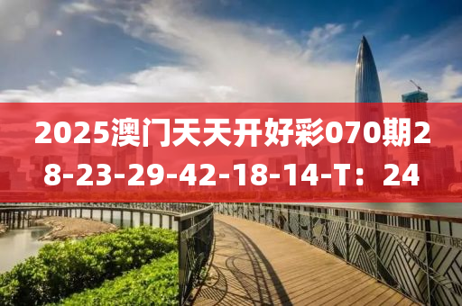 2025澳門天天開好彩070期28-23-29-42-18-14-T：24