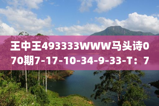 2025年3月11日 第70頁