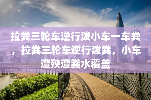 拉糞三輪車逆行潑小車一車糞，拉糞三輪車逆行潑糞，小車液壓動力機械,元件制造遭殃遭糞水覆蓋