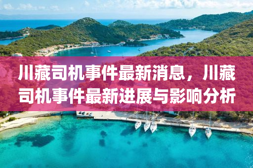 川藏司機事件最新消息，川藏司機事件最新進展與影響分析液壓動力機械,元件制造