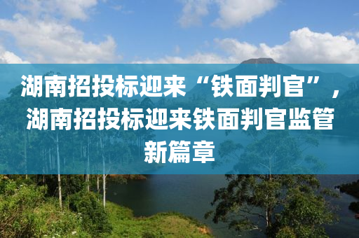 湖南招投標(biāo)迎來“鐵面判官”，湖南招投標(biāo)迎來鐵面判官監(jiān)管新篇章液壓動力機械,元件制造