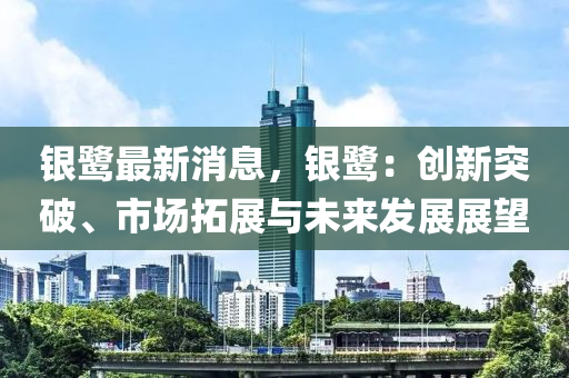 銀鷺最新消息，銀鷺：創(chuàng)新突破、市場(chǎng)拓展與未來(lái)發(fā)展展望