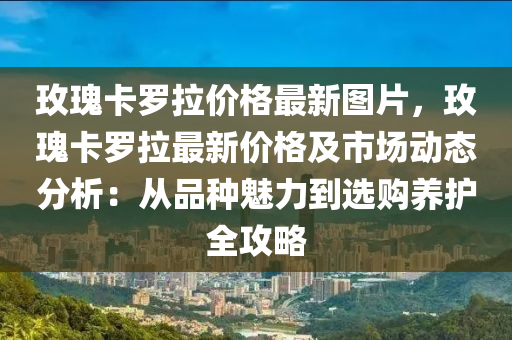 玫瑰卡羅拉價格最新圖片，玫瑰卡羅拉最新價格及市場動態(tài)分液壓動力機械,元件制造析：從品種魅力到選購養(yǎng)護全攻略