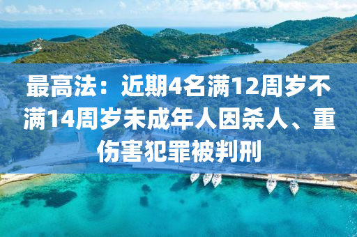 最高法：近期4名滿12周歲不滿14周歲未成液壓動力機(jī)械,元件制造年人因殺人、重傷害犯罪被判刑