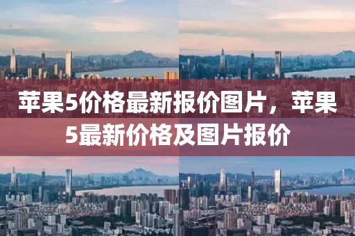 蘋果5價格最新報價圖片，蘋果5最新價格及圖片報價液壓動力機械,元件制造