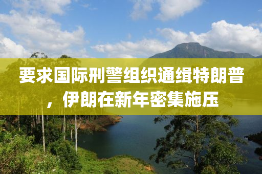 要求國際刑警組織通緝特朗普，液壓動力機械,元件制造伊朗在新年密集施壓