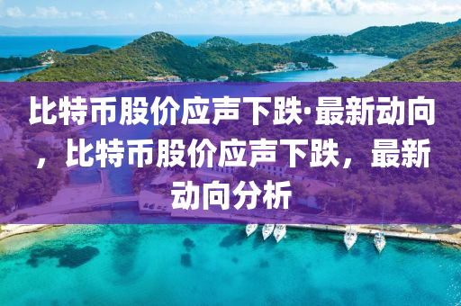 比特幣股價應(yīng)聲下跌·最新動向，比特幣股價應(yīng)聲下跌，最新動向分析液壓動力機(jī)械,元件制造