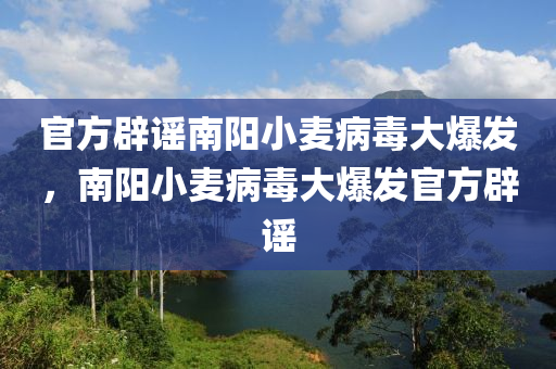 官方辟謠南陽小麥病毒大爆發(fā)，南陽小麥病毒大爆發(fā)官方辟謠液壓動力機械,元件制造