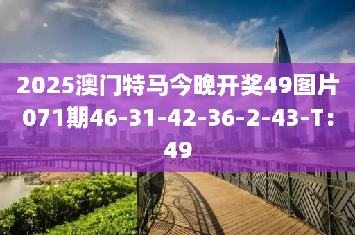 2025澳門(mén)特馬今晚開(kāi)獎(jiǎng)49圖片071期46-31-42-36-2-43-T：49