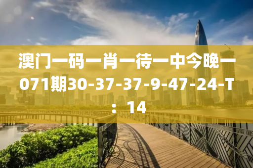 澳門一碼一肖一待一中今晚一071期30-37-37-9-47-24-T：14