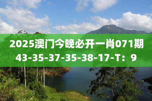 2025澳門今晚必開一肖071期43-35-37-35-38-17-T：9