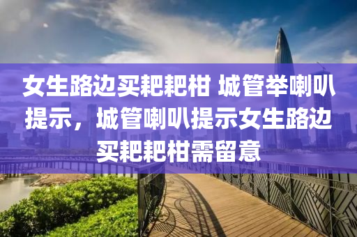 女生路液壓動力機械,元件制造邊買耙耙柑 城管舉喇叭提示，城管喇叭提示女生路邊買耙耙柑需留意