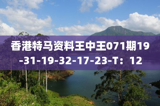 香港特馬資液壓動力機(jī)械,元件制造料王中王071期19-31-19-32-17-23-T：12