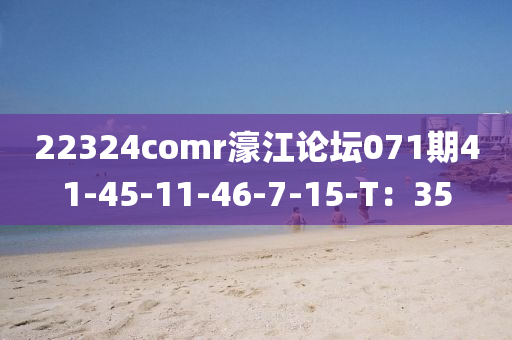 22324comr濠江論壇071期41-45-11-46-7-15-T：35