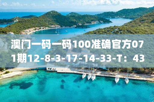 澳門一碼一碼100準確官方071期12-8-3-17-14-33-T：43