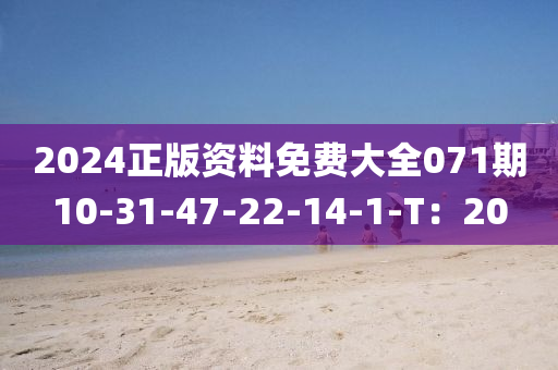 2024正版資料免費(fèi)大全071期10-31-47-22-14-1-T：20