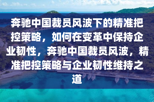 奔馳中國(guó)裁員風(fēng)波下的精準(zhǔn)把控策略，如何在變革中保持企業(yè)韌性，奔馳中國(guó)裁員風(fēng)波，精準(zhǔn)把控策略與企業(yè)韌性維持之道