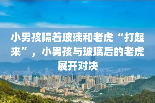 小男孩隔著玻璃和老虎“打起來”，小液壓動力機械,元件制造男孩與玻璃后的老虎展開對決