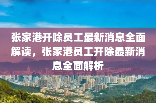 張家港開除員工最新消息全面解讀，張家港員工開除最新消息全面解析液壓動(dòng)力機(jī)械,元件制造