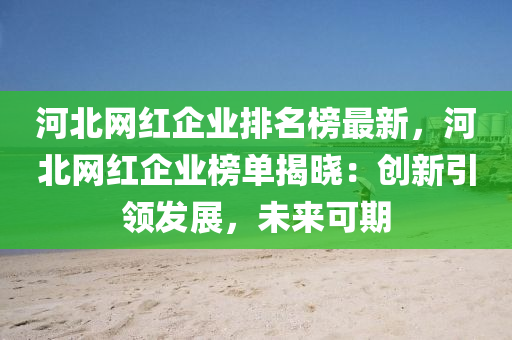 河北網(wǎng)紅企業(yè)排名榜最新，河北網(wǎng)紅企業(yè)榜單揭曉：創(chuàng)新引領(lǐng)發(fā)展，未來(lái)可期液壓動(dòng)力機(jī)械,元件制造