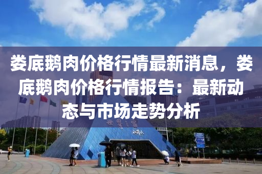 婁底鵝肉價格行情最新消息，婁底鵝肉價格行情報告：最新動態(tài)與市場走勢分析