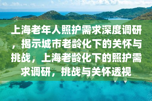 上海老年人照護(hù)需求深度調(diào)研，揭示城市老齡化下的關(guān)懷與挑戰(zhàn)，上海老齡化下的照護(hù)需求調(diào)研，挑戰(zhàn)與關(guān)懷透視液壓動力機(jī)械,元件制造