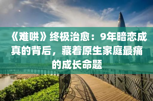 《難哄》終極治愈：9年暗戀成真的背后，藏著原生家庭最痛的成長命題