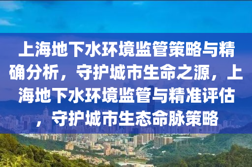 上海地下水環(huán)境監(jiān)管策略與精確分析，守護城市生命之源，上海地下水環(huán)境監(jiān)管與精準評估，守護城市生態(tài)命脈策略