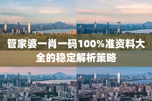 管家婆一肖一碼100%準資料大全的穩(wěn)定解析策略