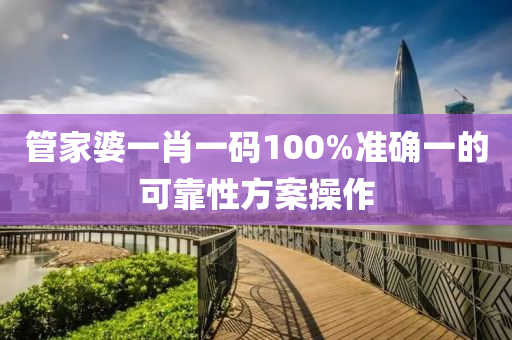 管家婆一肖一碼100%準(zhǔn)確一的可靠性方案操作