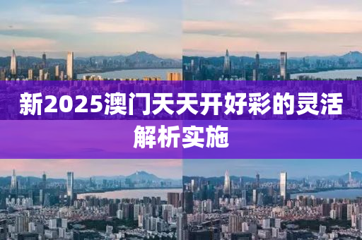 新2025澳門天天開好彩的靈活解析實施