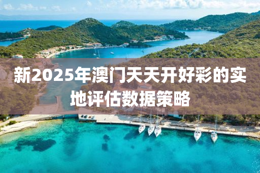 新2025年澳門天天開好彩的實(shí)地評估數(shù)據(jù)策略