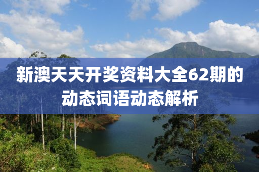 新澳天天開獎資料大全62期液壓動力機械,元件制造的動態(tài)詞語動態(tài)解析