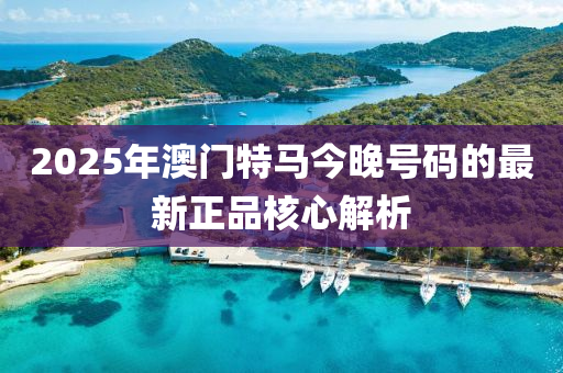 2025年澳門特馬今晚號液壓動力機械,元件制造碼的最新正品核心解析