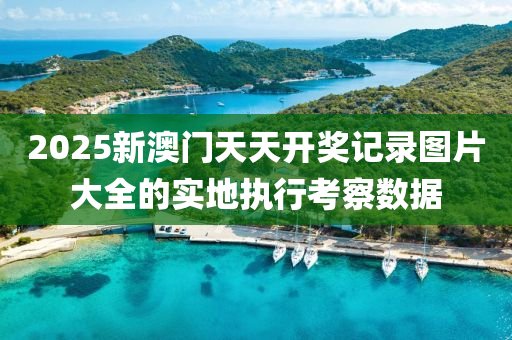 2025新澳門天天開獎記錄圖片大全的實地執(zhí)行考察數(shù)據(jù)