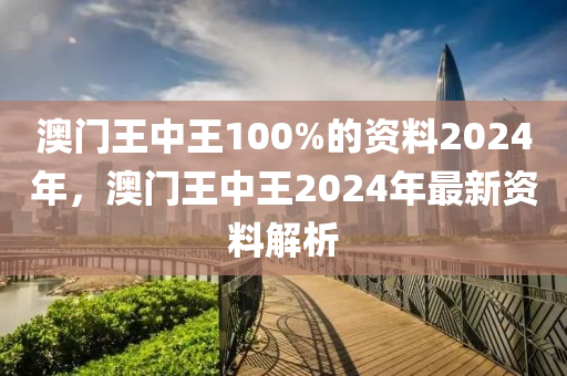 澳門王中王100%的資料2024年，澳門王中王2024年最新資料解析