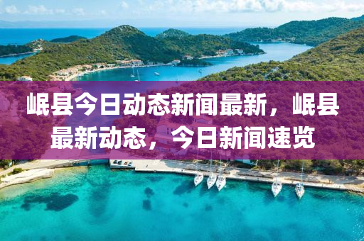 岷縣今日動(dòng)態(tài)新聞最新，岷縣最新動(dòng)態(tài)，今日新聞速覽液壓動(dòng)力機(jī)械,元件制造