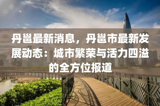 丹邕最新消息，丹邕市最新發(fā)展動態(tài)：城市繁榮與活力四溢的全方位報道