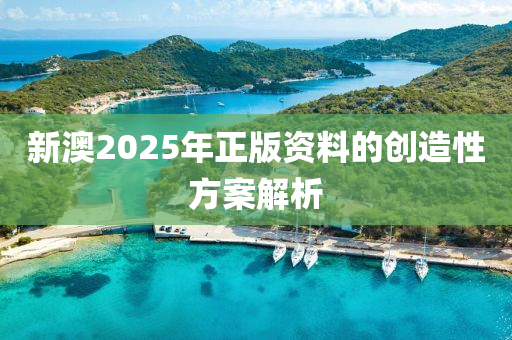 新澳2025年正版資料的創(chuàng)造性方案解析