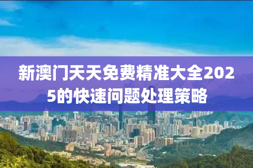 新澳門天天免費精準(zhǔn)大全2025的快速問題處理策略