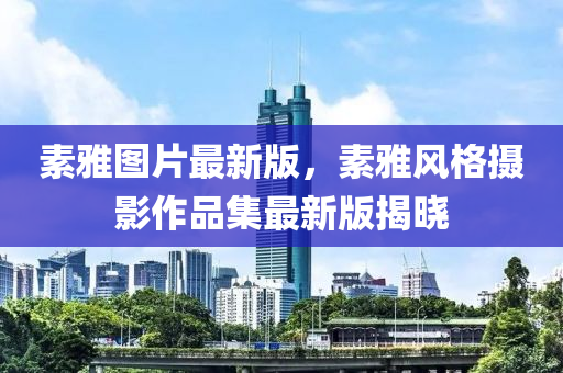 素雅圖片最新版，素雅風(fēng)格攝影作品集最新版揭曉液壓動力機械,元件制造