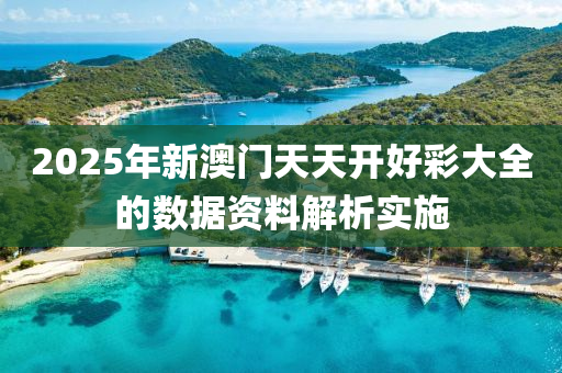 2025年新澳門天天開好彩大全的數(shù)據(jù)資料解析實施