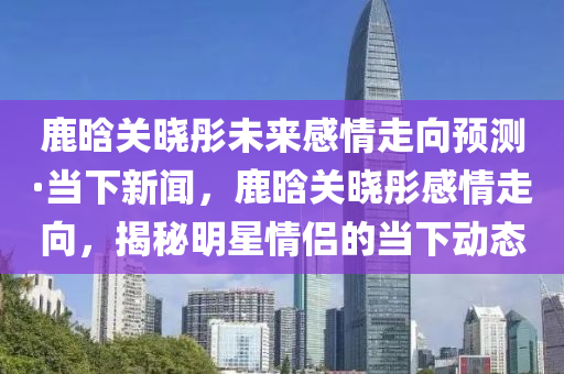 鹿晗關曉彤未來感情走向預測·當下新聞，鹿晗關曉彤感情走向，揭秘明星情侶的當下動態(tài)液壓動力機械,元件制造